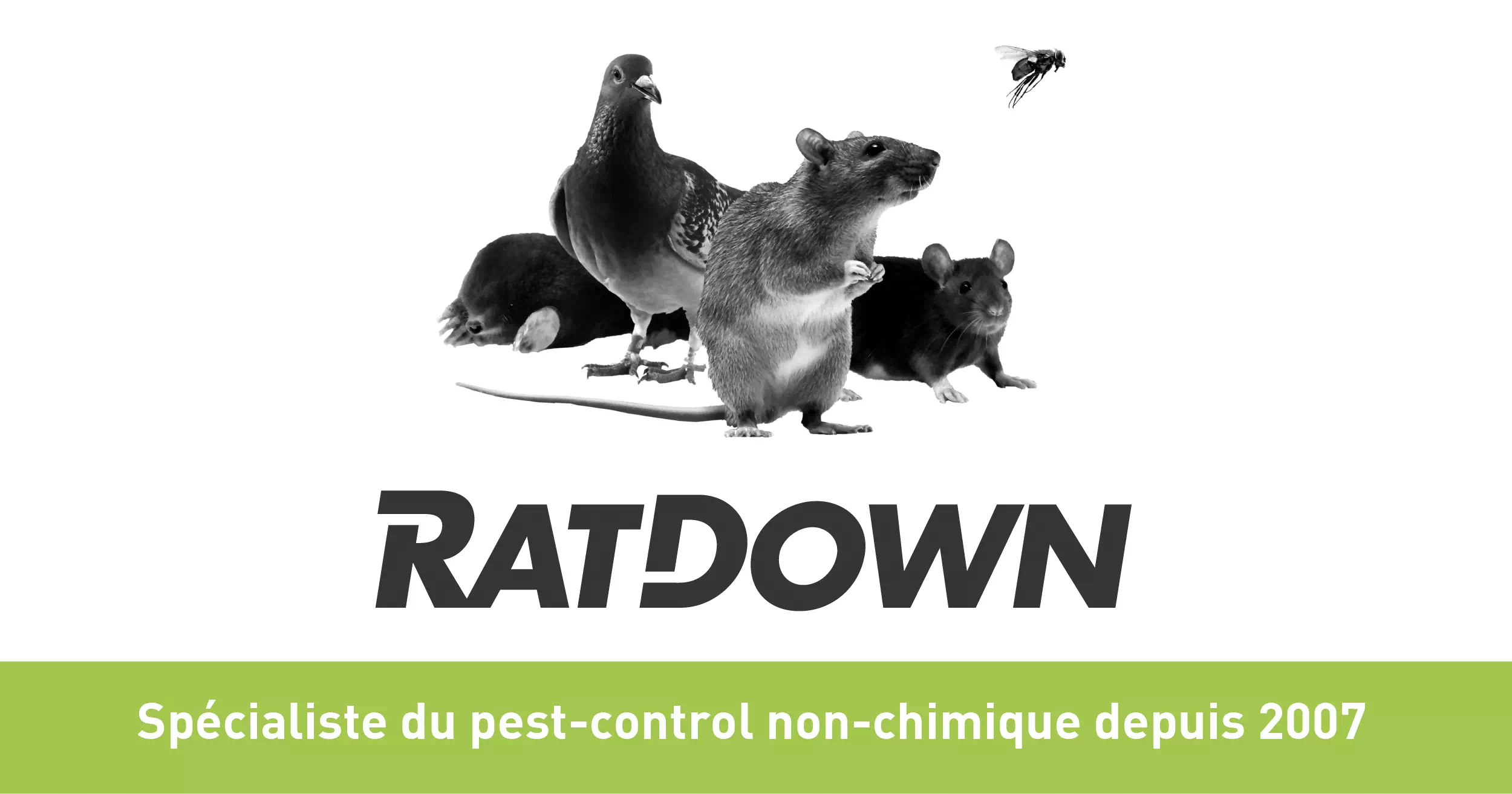 RDPure - Liquide de conservation pour piège à capture multiple - Ratdown